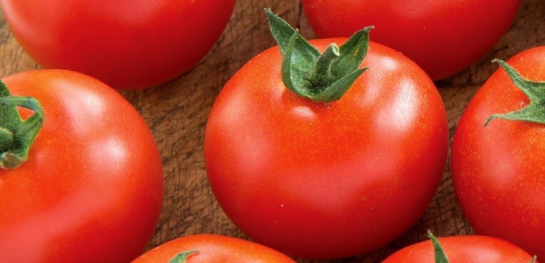 Grow your Own Tomatoes